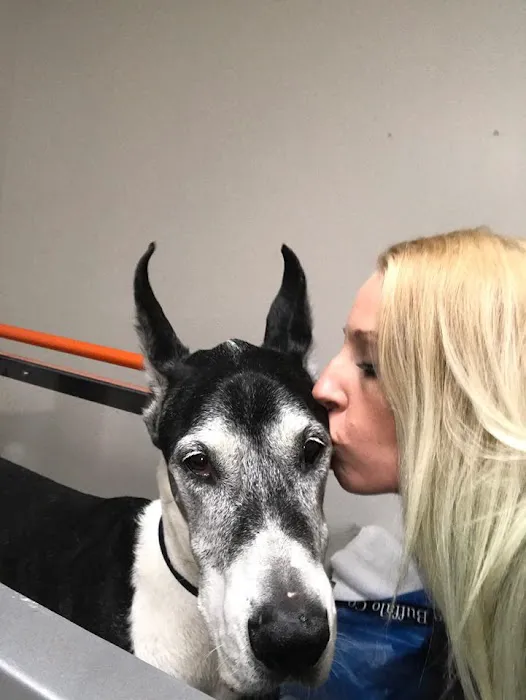 Zen Den Animal Wellness & Rehabilitation 9