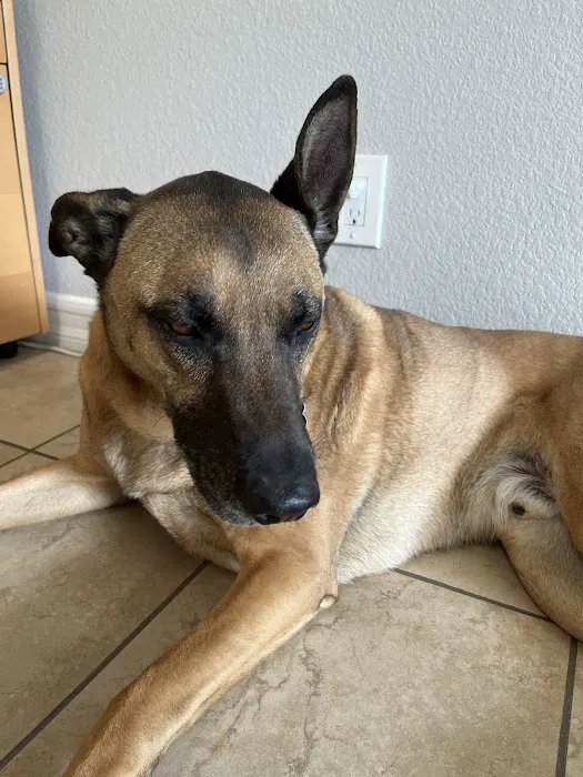 Quartz Hill Veterinary 5