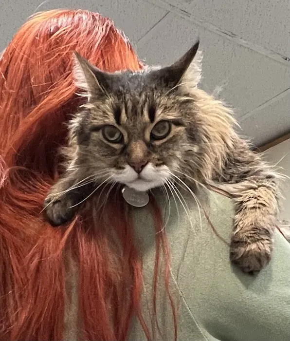 Quartz Hill Veterinary 4