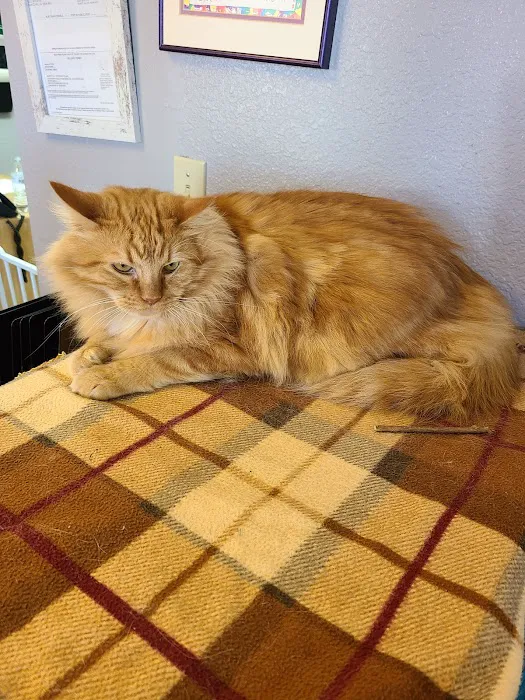 Quartz Hill Veterinary 6