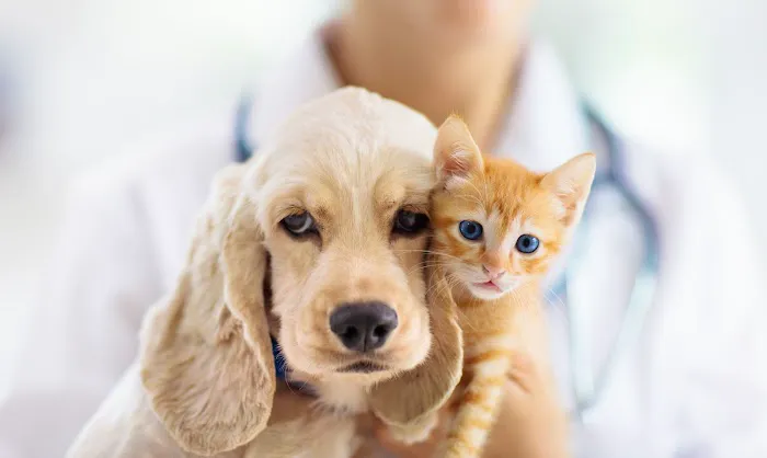Quartz Hill Veterinary 3