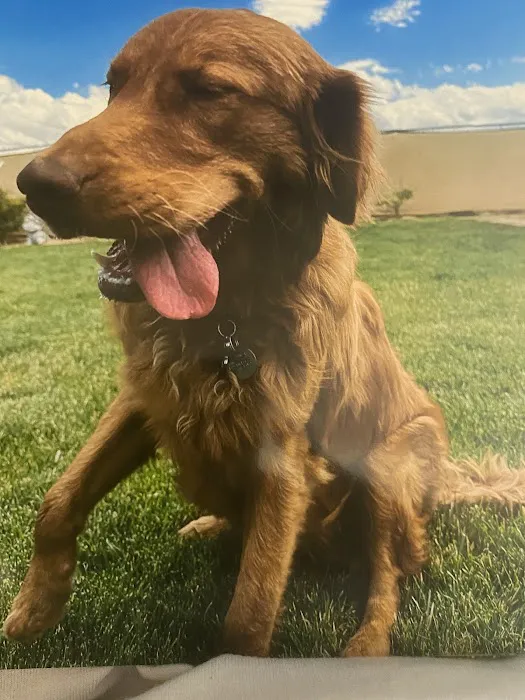Quartz Hill Veterinary 10