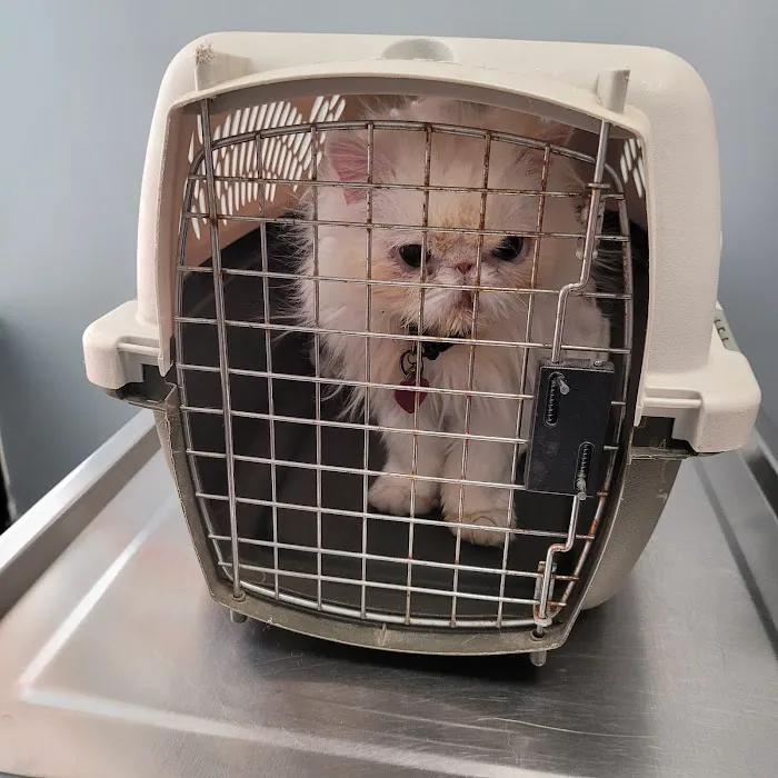 911 Vet Care 7