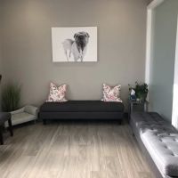 Oaks Veterinary Urgent Care ico