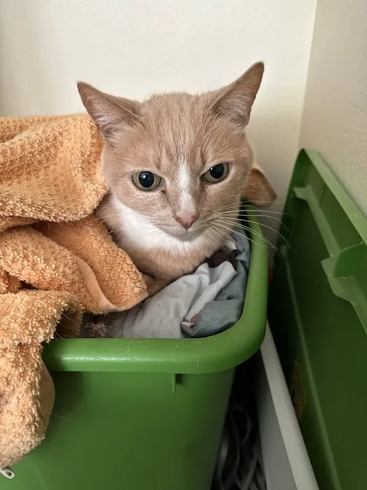 Oaks Veterinary Urgent Care 5