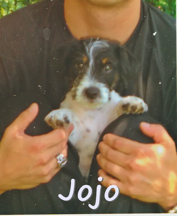 Agoura Hills Animal Hospital 7