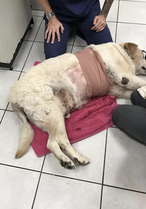 Agoura Hills Animal Hospital 9