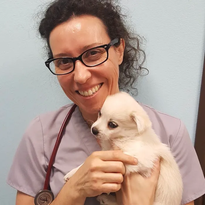 Ohana Pet Hospital of Agoura Hills 1