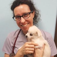 Ohana Pet Hospital of Agoura Hills ico