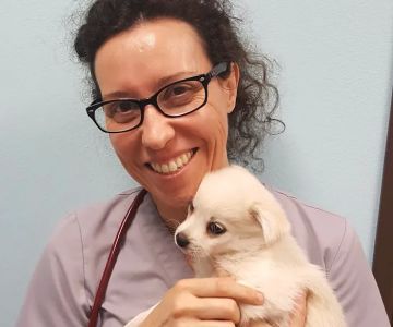 Ohana Pet Hospital of Agoura Hills
