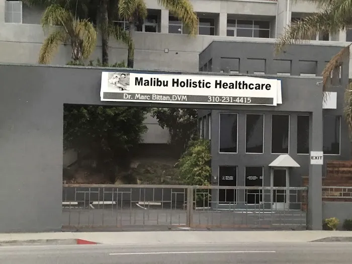 Holistic Veterinary Healthcare 1