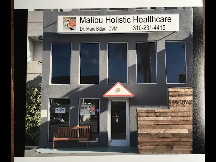 Holistic Veterinary Healthcare 3