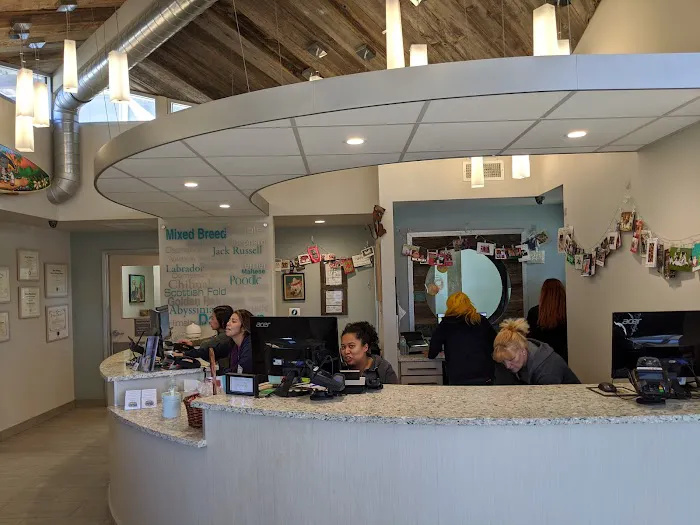 Malibu Coast Animal Hospital 1
