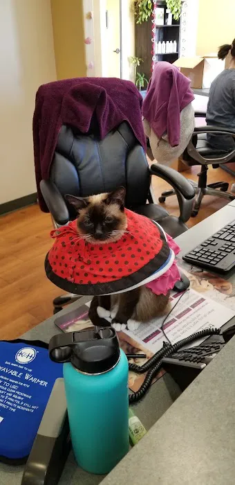 Banfield Pet Hospital 7