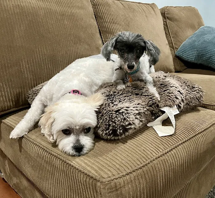 Banfield Pet Hospital 8