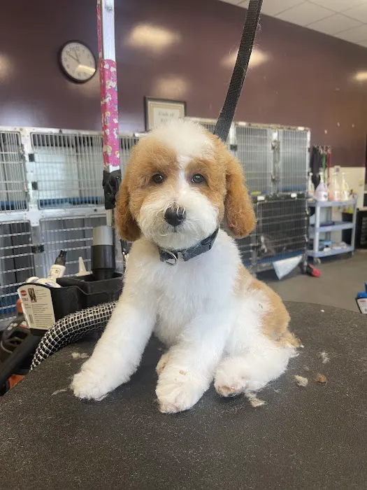 Banfield Pet Hospital 3
