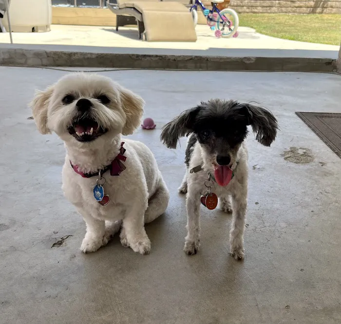 Banfield Pet Hospital 4