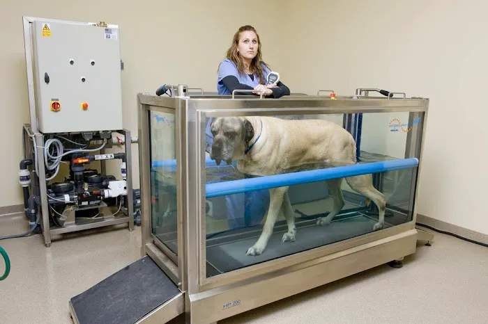 VCA Westlake Village Animal Hospital 8