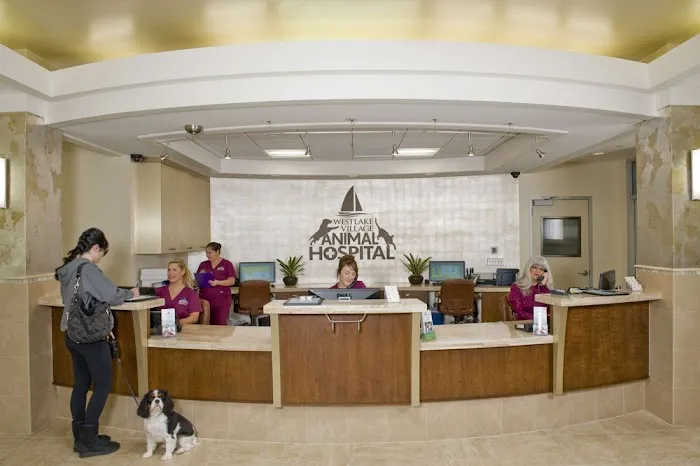 VCA Westlake Village Animal Hospital 7