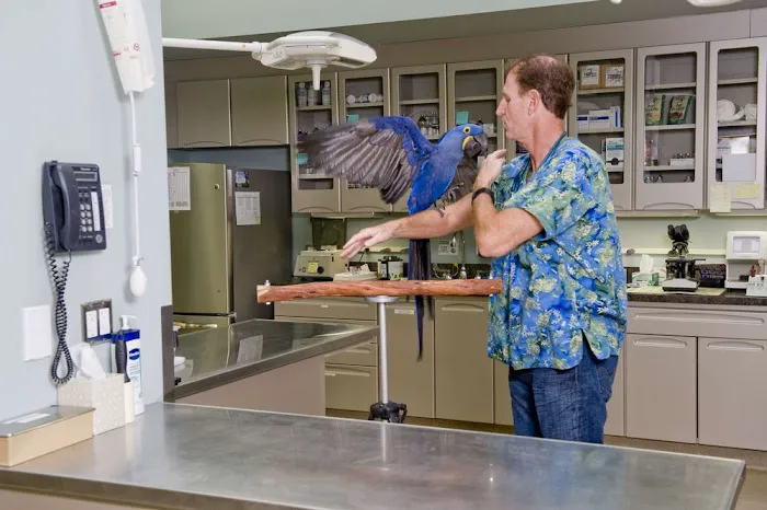 VCA Westlake Village Animal Hospital 10