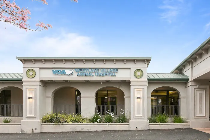 VCA Westlake Village Animal Hospital 3