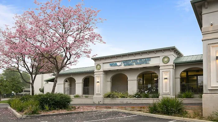 VCA Westlake Village Animal Hospital 1