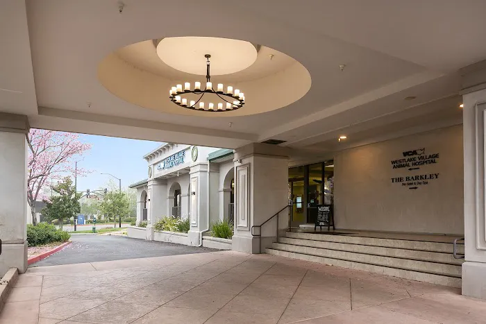 VCA Westlake Village Animal Hospital 2