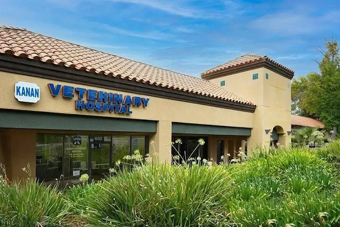 Kanan Veterinary Hospital 6