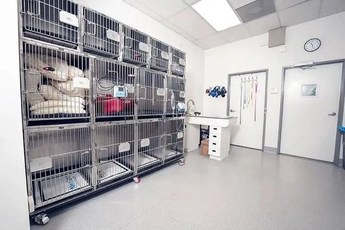 Kanan Veterinary Hospital 5