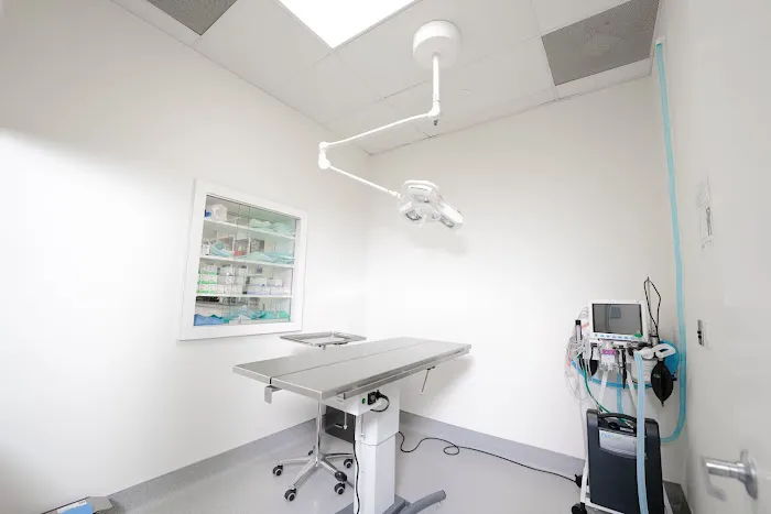 Kanan Veterinary Hospital 1