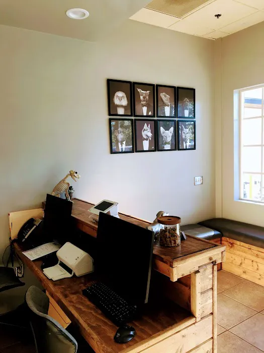 Townsgate Pet Hospital 3