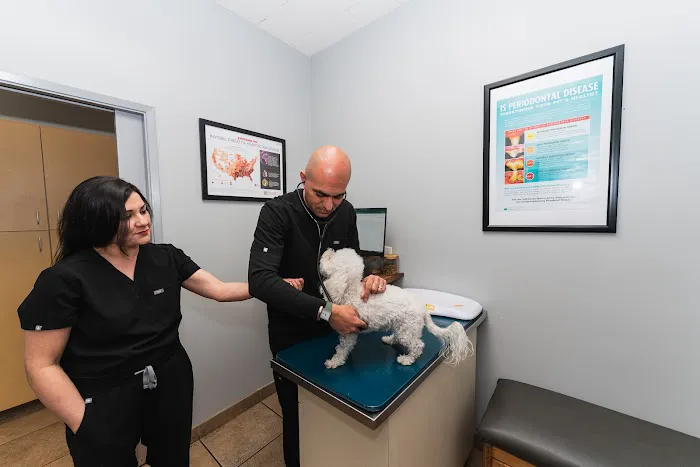 Townsgate Pet Hospital 1