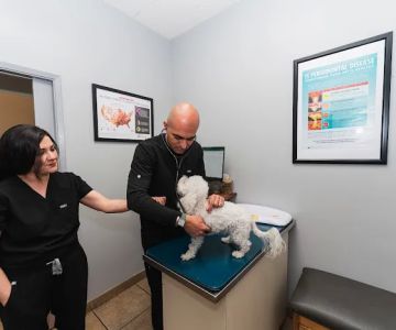 Townsgate Pet Hospital