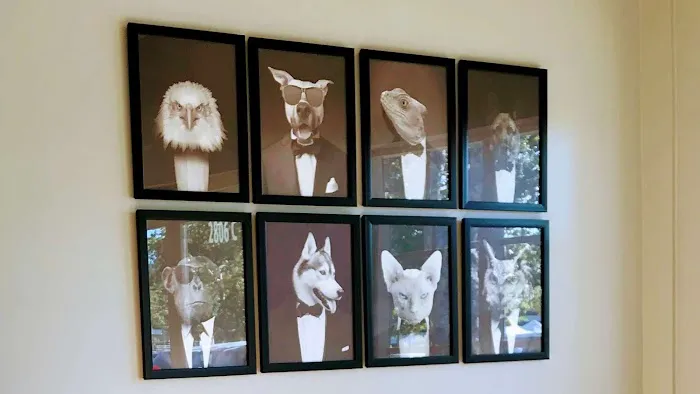 Townsgate Pet Hospital 2