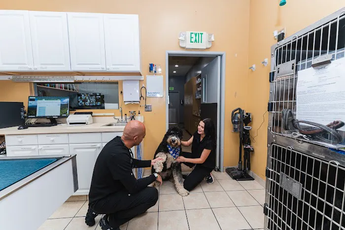 Townsgate Pet Hospital 6