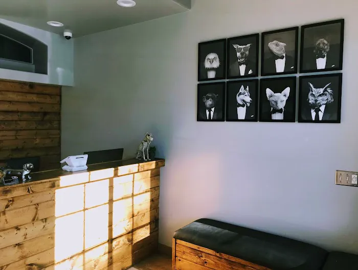 Townsgate Pet Hospital 9