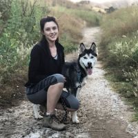 After Surgery Pet Recovery ico