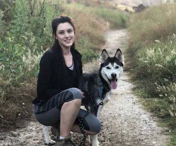After Surgery Pet Recovery