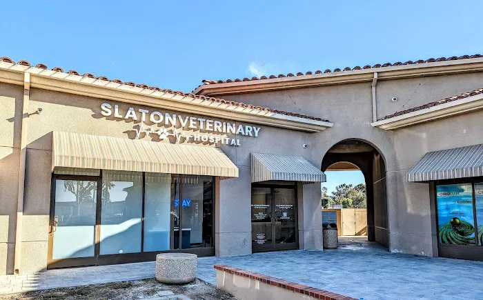 Slaton Veterinary Hospital 2