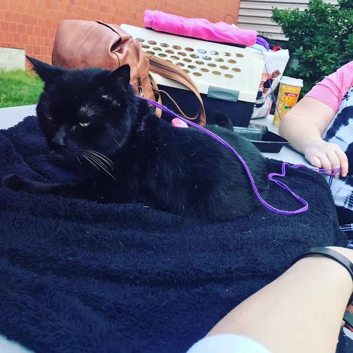 Tufts at Tech Community Veterinary Clinic 6