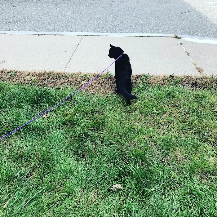 Tufts at Tech Community Veterinary Clinic 9