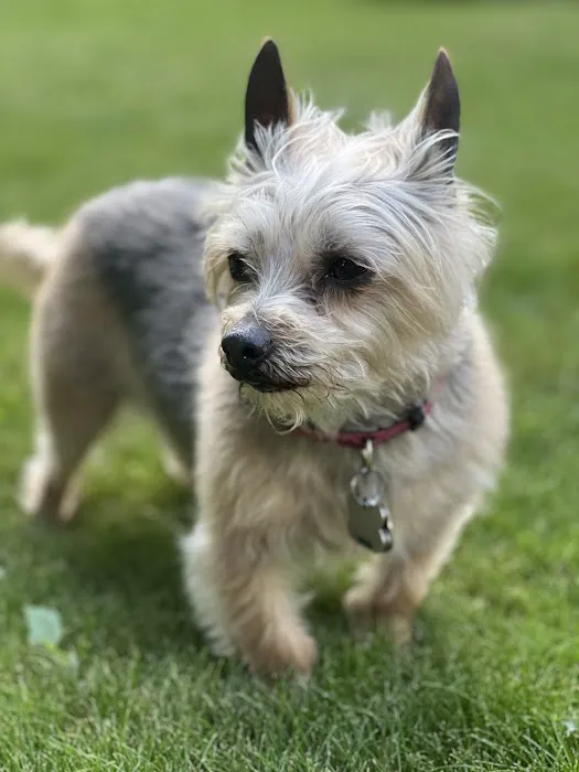 Vetco Total Care Animal Hospital 1