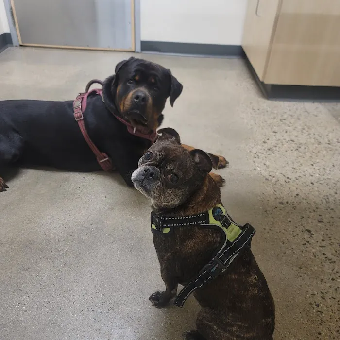 Vetco Total Care Animal Hospital 6
