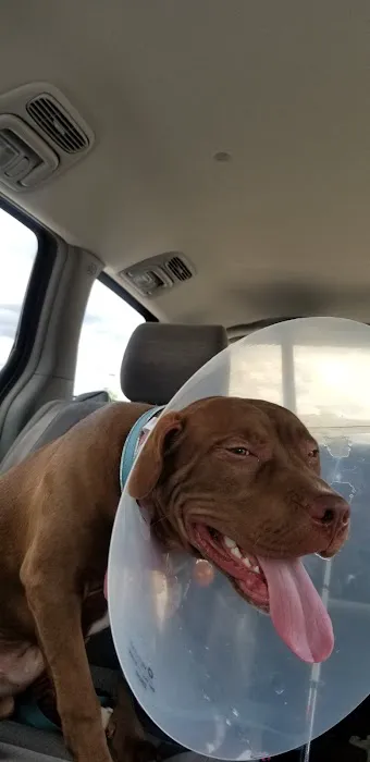 Banfield Pet Hospital 6