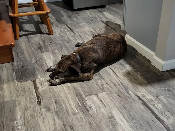 Banfield Pet Hospital 3