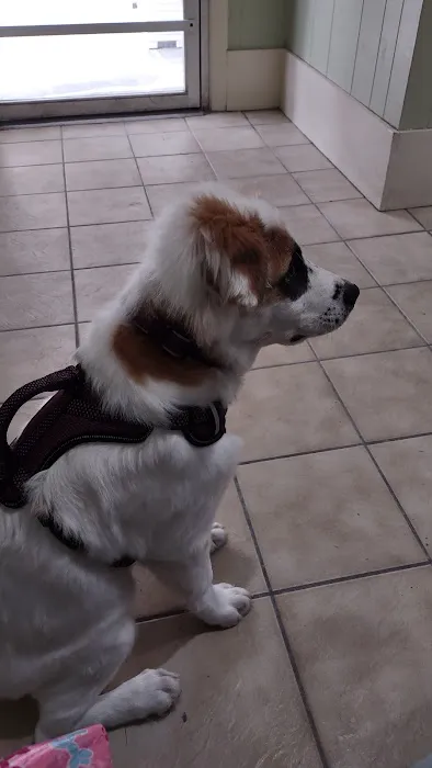 Route 20 Animal Clinic 1