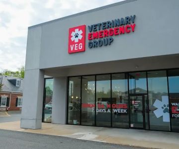Veterinary Emergency Group