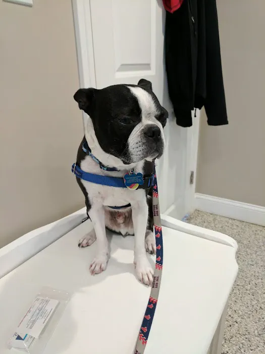Riverlin Animal Hospital, LLC 1