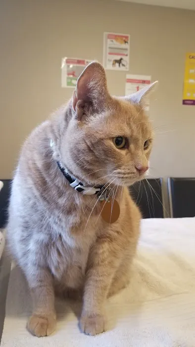 Riverlin Animal Hospital, LLC 5