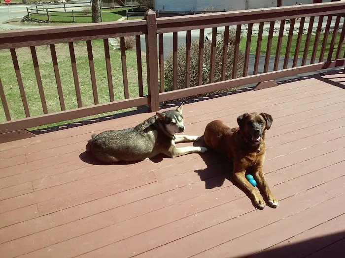 Riverlin Animal Hospital, LLC 10